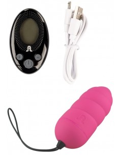 Oeuf telecommandé Ocean... 2