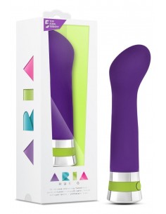 Vibromasseur Aria Hue G...