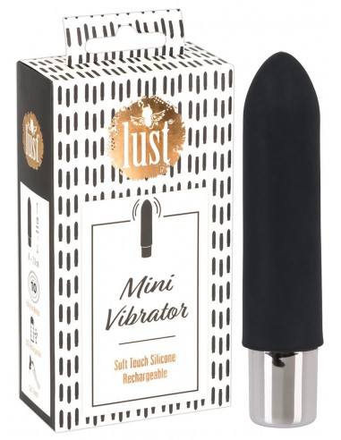 Mini Vibromasseur Rechargeable Lust Noir