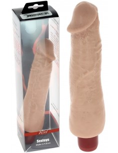 Vibromasseur Daniel Reel...