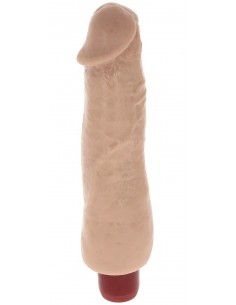 Vibromasseur Daniel Reel... 2