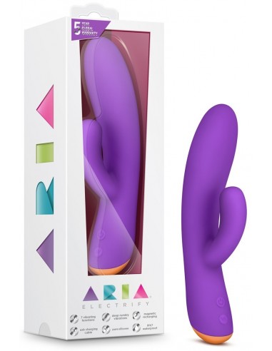 Vibromasseur Rechargeable Aria Electrify