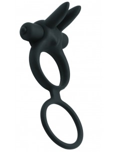 Double Anneau Vibrant... 2