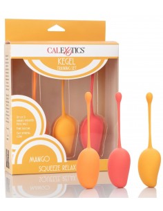 Kit de Musculation du...