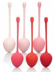 Kit de Musculation du... 2