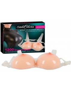 Protheses Mammaires en...