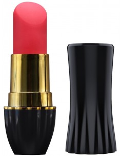 Stimulateur Rechargeable... 2