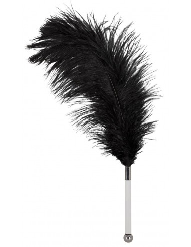 Plume Noire sur Tige  35 cm