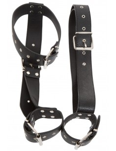 Contrainte Dorsale avec... 2